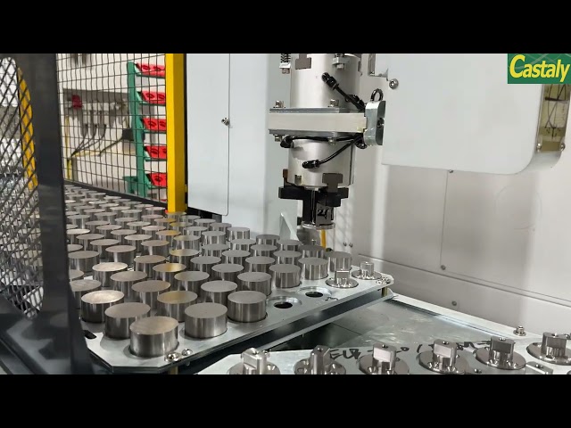 Castaly - Robot Gantry Loader